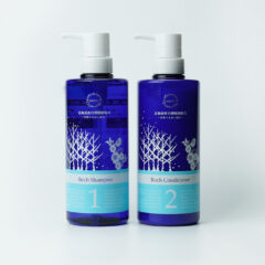 頭皮と顔の関係