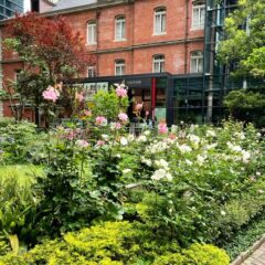 紫外線の季節です。