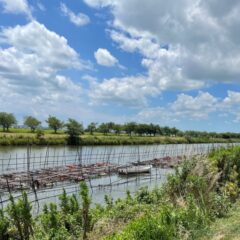 霞ヶ浦をご存じですか？