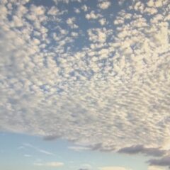 夏から秋へ。。