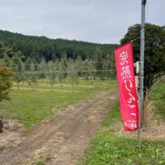 旬を食べよう！